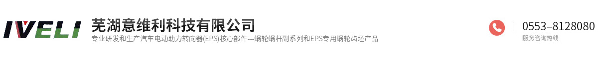 蕪湖意維利科技有限公司